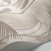 Cole and Son Tapet Palm Jungle 4