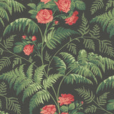 Cole and Son Tapet Rose 30