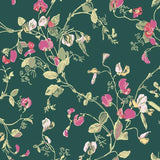 Cole and Son Tapet Sweet Pea 33