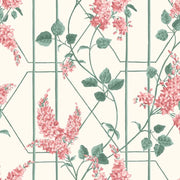 Cole and Son Tapet Wisteria 12