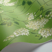 Cole and Son Tapet Wisteria 16