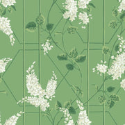 Cole and Son Tapet Wisteria 16