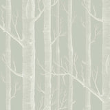Cole and Son Tapet Woods 13
