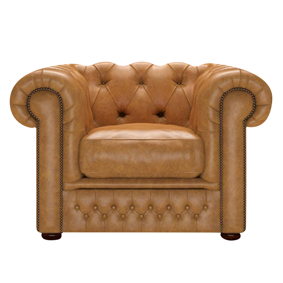 Shackleton Chesterfield Fåtölj Old English Buckskin