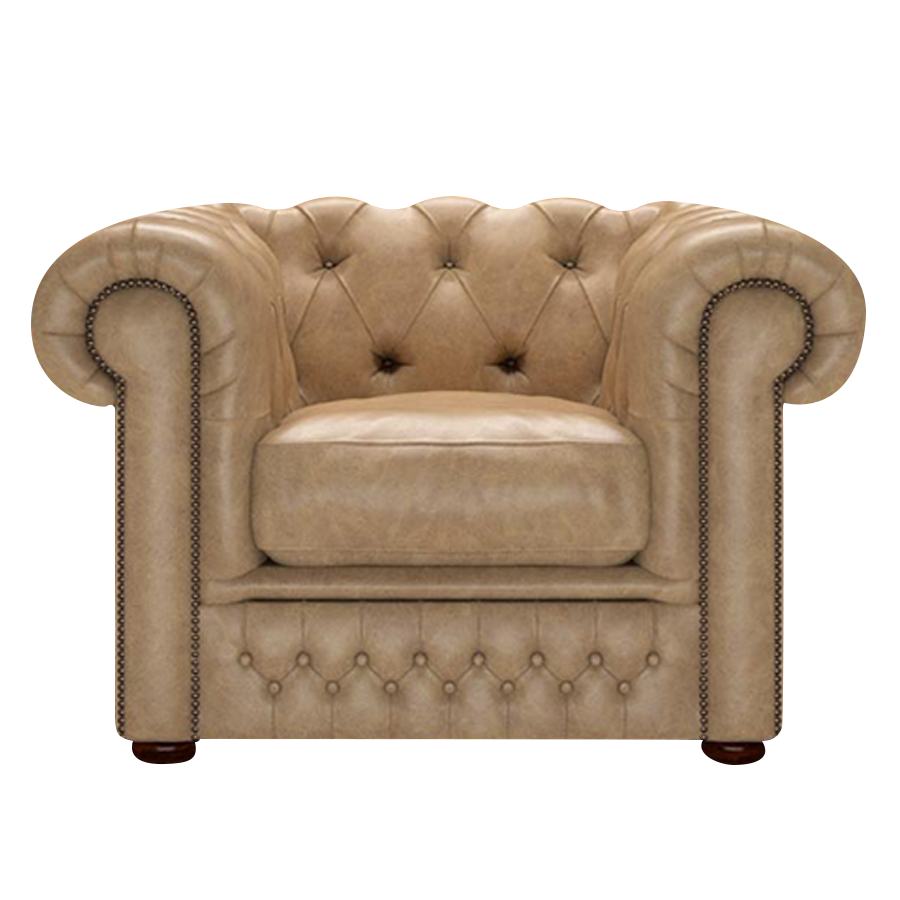 Shackleton Chesterfield Fåtölj Old English Parchment