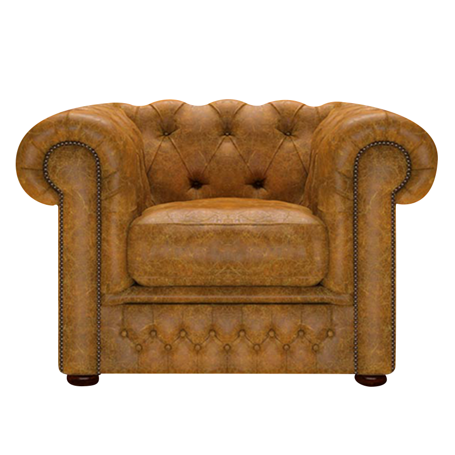 Shackleton Chesterfield Fåtölj Tudor Mustard