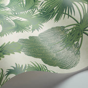 Cole and Son Tapet Hollywood Palm 4