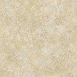 Cole and Son Tapet Patina Haze 25