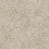 Cole and Son Tapet Patina Haze 26