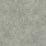 Cole and Son Tapet Patina Haze 28
