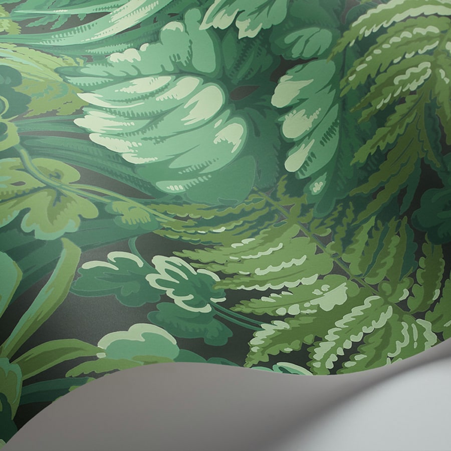 Cole and Son Tapet Royal Fernery 9