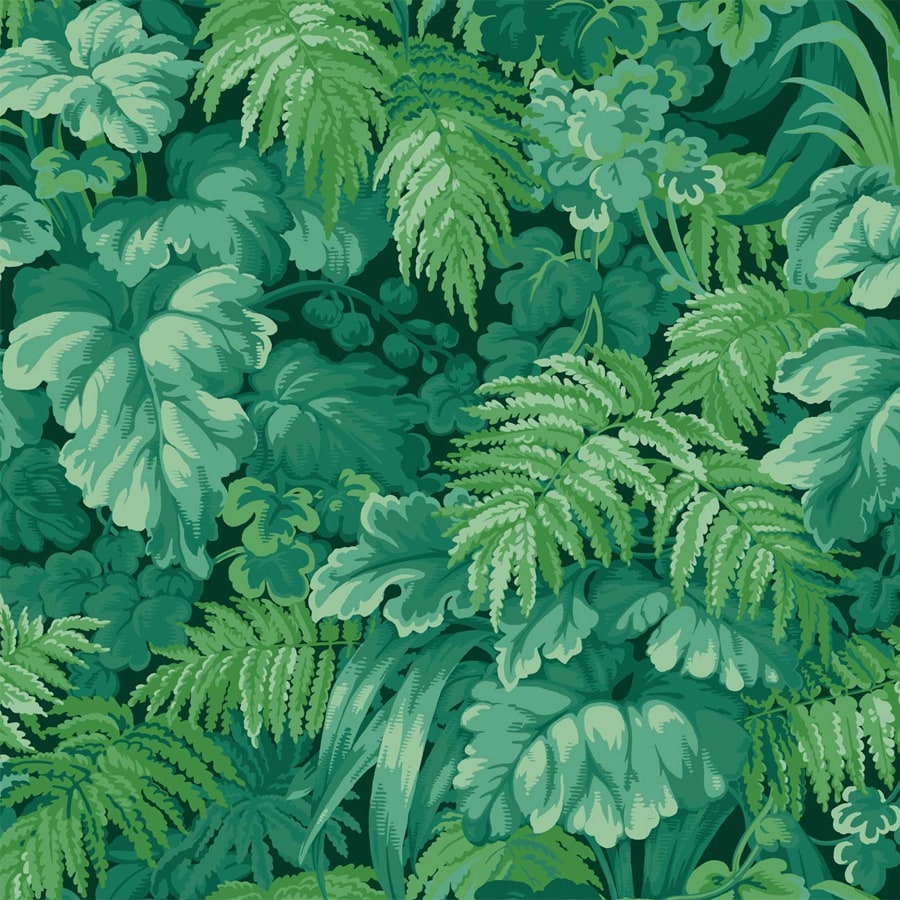 Cole and Son Tapet Royal Fernery 9