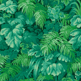 Cole and Son Tapet Royal Fernery 9