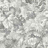 Cole and Son Tapet Royal Fernery 11