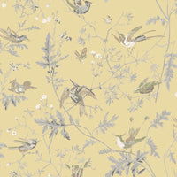 Hummingbirds Stoff — Cole & Son