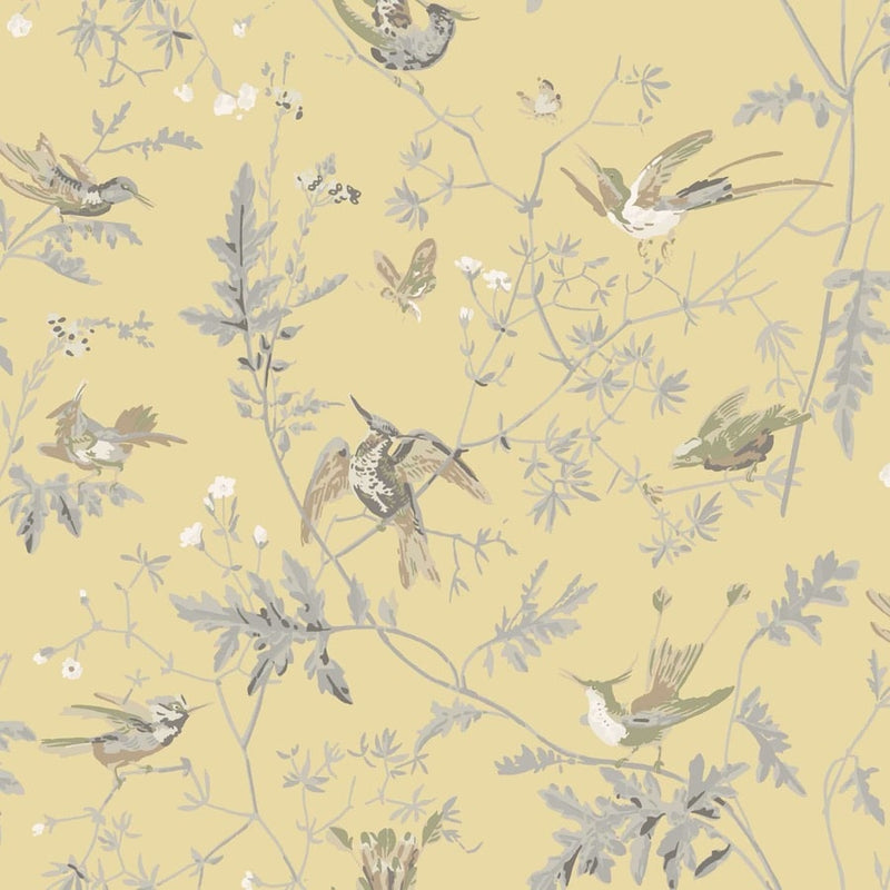 Hummingbirds Tyg — Cole & Son