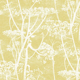 Cole and Son Tyg Cow Parsley White & Chartreuse