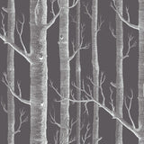 Cole and Son Tyg Woods White On Charcoal