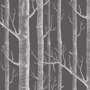 Cole and Son Tyg Woods White On Charcoal
