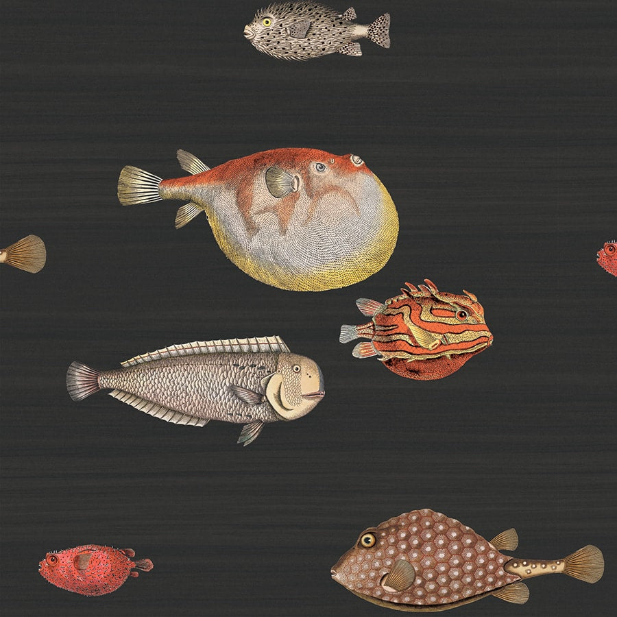 Cole and Son Tapet Acquario 48