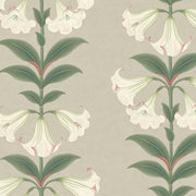 Cole and Son Tapet Angel'S Trumpet 7