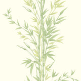 Cole and Son Tapet Bamboo 23