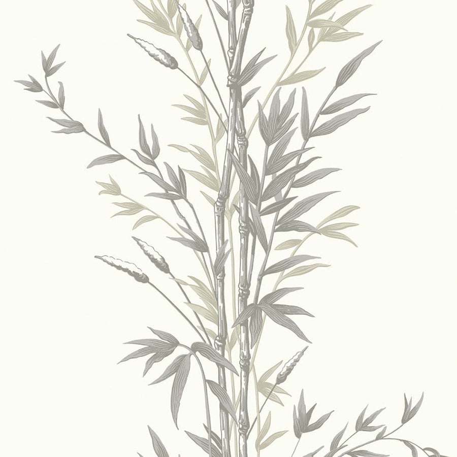 Cole and Son Tapet Bamboo 25
