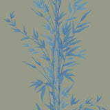 Cole and Son Tapet Bamboo 26