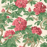 Cole and Son Tapet Bourlie 19