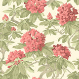 Cole and Son Tapet Bourlie 20