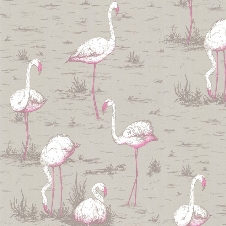 Cole and Son Tapet Flamingos 42