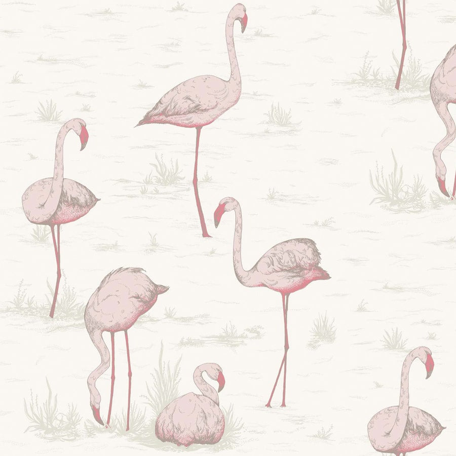 Cole and Son Tapet Flamingos 45