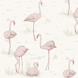 Cole and Son Tapet Flamingos 45