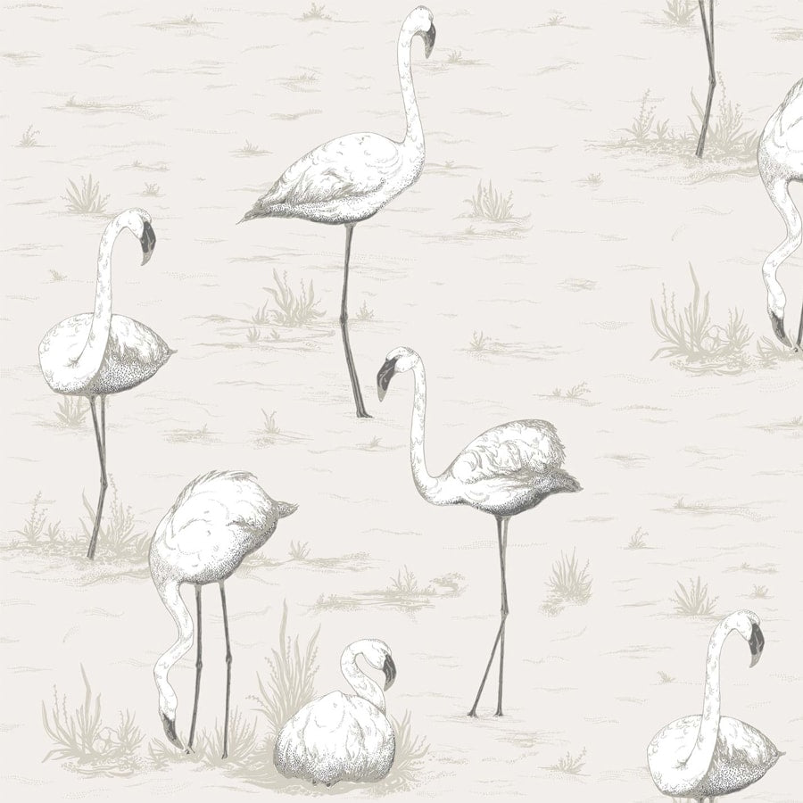 Cole and Son Tapet Flamingos 46