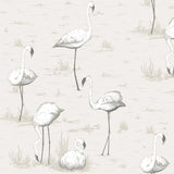 Cole and Son Tapet Flamingos 46