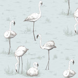 Cole and Son Tapet Flamingos 47