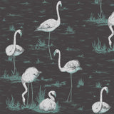 Cole and Son Tapet Flamingos 48