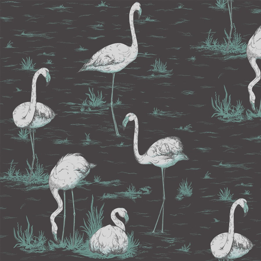 Flamingos Tapet — Cole & Son
