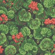 Cole and Son Tapet Geranium 33