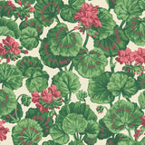 Cole and Son Tapet Geranium 34