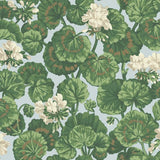 Cole and Son Tapet Geranium 35