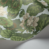 Cole and Son Tapet Geranium 35