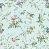 Cole and Son Tapet Hummingbirds 69