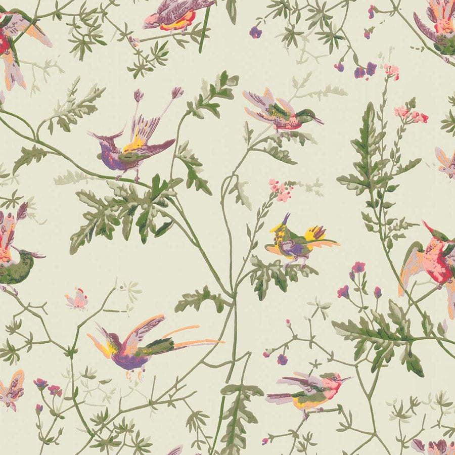 Cole and Son Tapet Hummingbirds 70