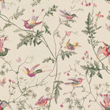 Cole and Son Tapet Hummingbirds 71