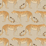 Cole and Son Tapet Leopard Walk 10