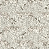 Cole and Son Tapet Leopard Walk 11