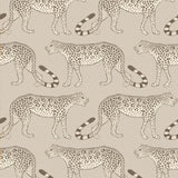 Cole and Son Tapet Leopard Walk 12