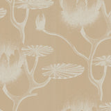 Cole and Son Tapet Lily 13