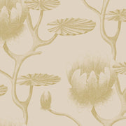 Cole and Son Tapet Lily 19